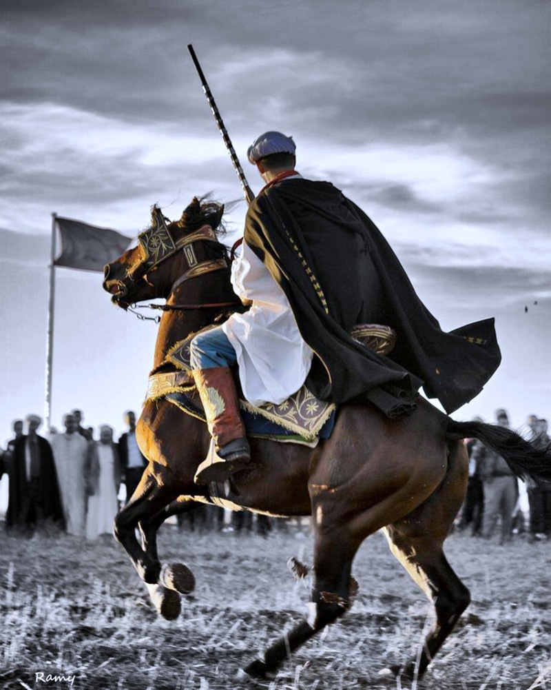 Review, motion, horses, festival, Africa, riding, people, activity, Batna, Horsemen, domestic animals, Fun, clothing, horse, leather, Algeria, cloud - sky