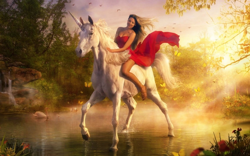 thoroughbred Horse, beauty In Nature, tale, woman, females, stallion, full length, adult, caucasian Ethnicity, sunset, motion, young Adult, mammal, 720P