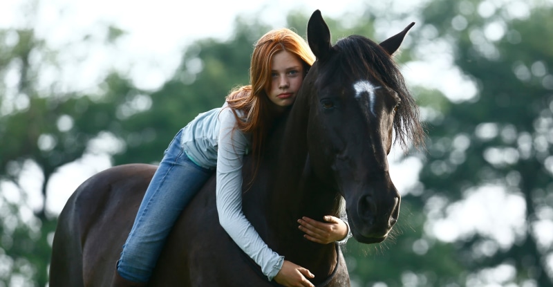 brown, sweater, s, Hanna Höppner, horse, casual clothing, animal Head, outdoors, horseback Riding, people, nature, cute, beauty, lifestyles, day, beauty In Nature