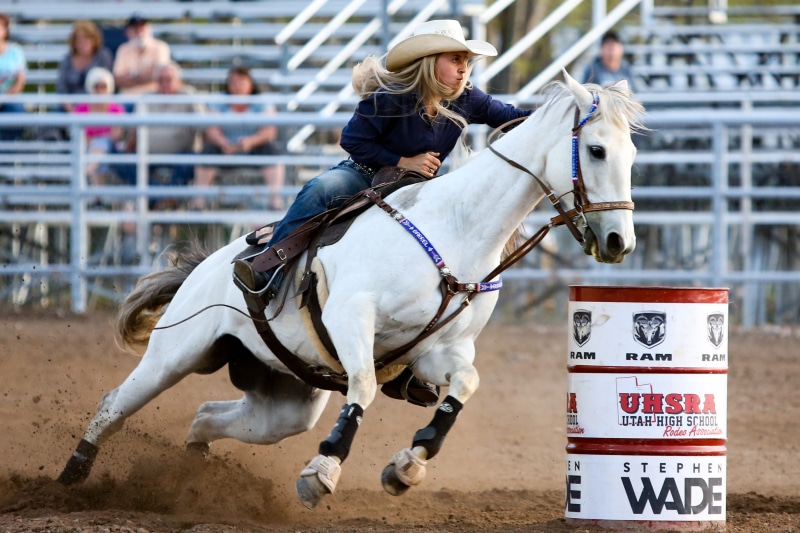 one animal, western, co, woman, activity, animal, rodeo, ride, cowboy, mammal, herbivorous, livestock, competition, riding, barrel, domestic animals, domestic