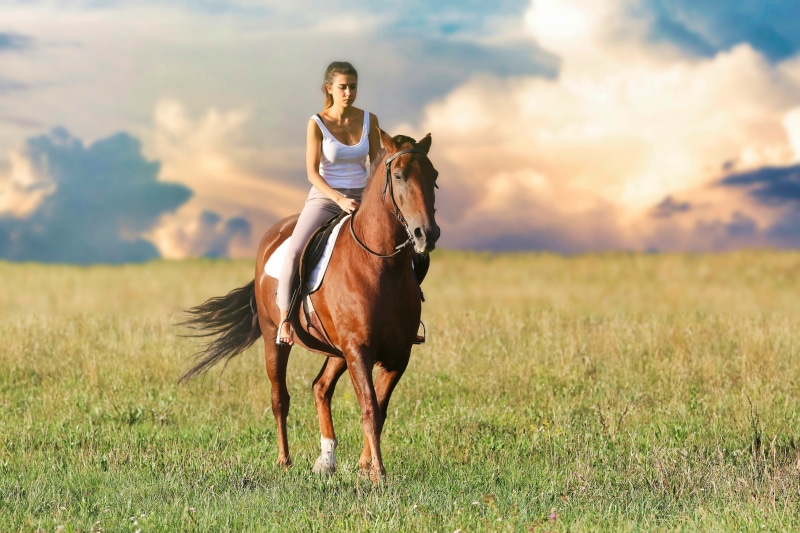 mare, coachman, nature, mountain, prato, one animal, wild horse, hay, animal, one person, horseback riding, girl, field, land, animal themes, blonde, affectionate