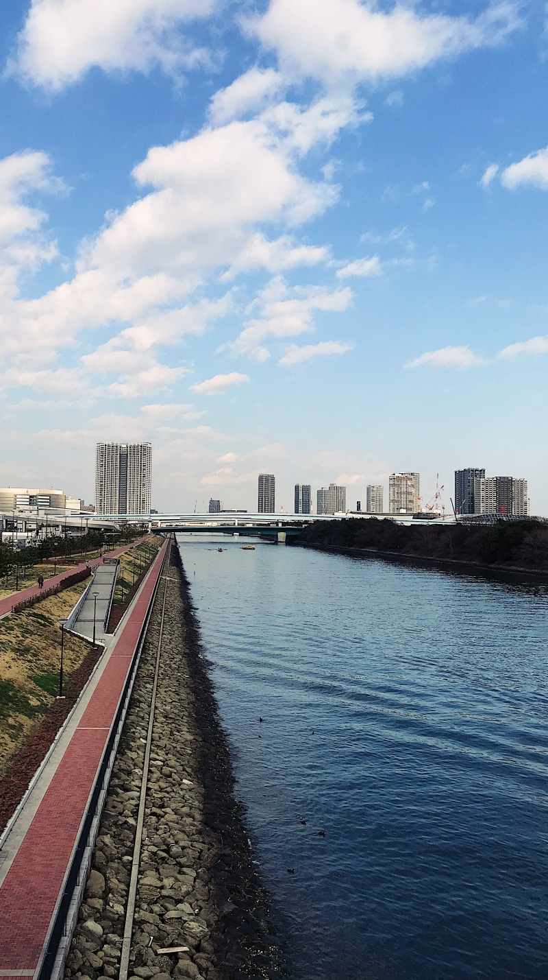 high rise, way, building exterior, town, koto city, track, japan, 4K, day, rail transportation, skyscraper, path, urban, office building, water, road