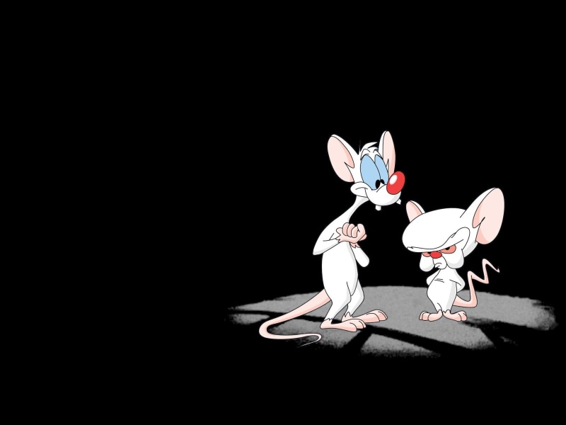 brain, illustration, hd, cartoon/comic, animaniacs, pinky, 720P, black, rat, and, the