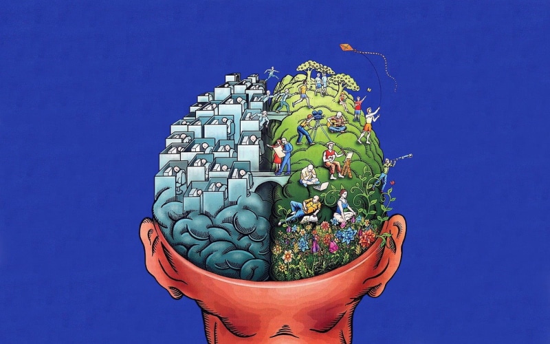 representation, decoration, outdoors, craft, animal representation, people, symbolic, low angle view, sculpture, ornate, brain, art, clear sky, no people