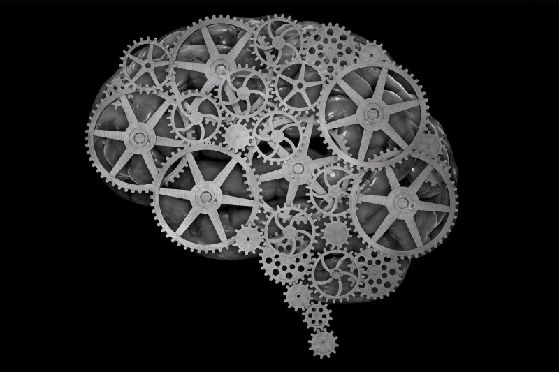 1080P, brain, gears, medical, anatomy, gear, psychedelic, head, skull
