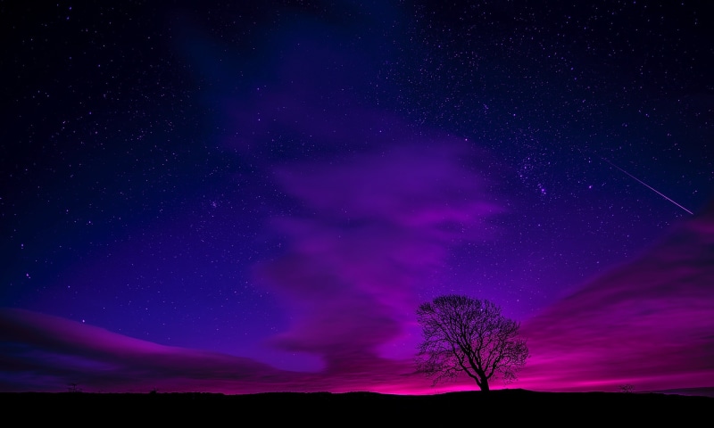 sky, 1080P, scenic, constellation, space, tranquil scene, environment, nature, colors, star, science, tree, plant, stars, evening, star field, rural, beauty in nature