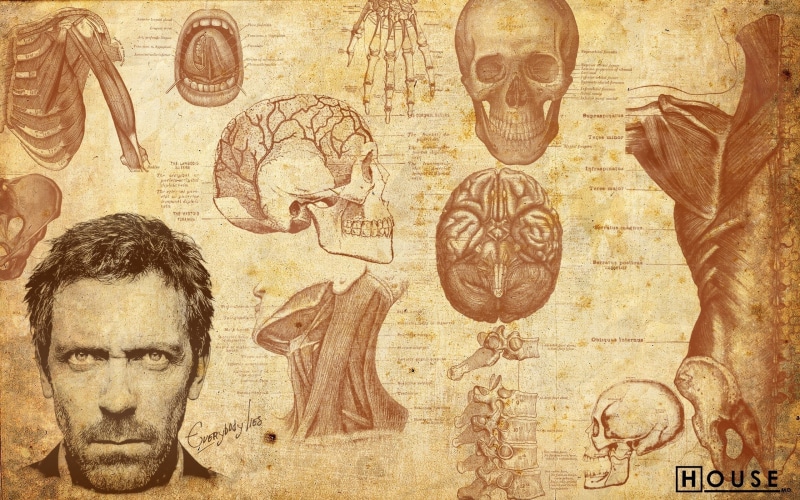 brain, wall - building feature, ancient civilization, mural, representation, spine, house, people, face, men, bones, the past, 2K, ancient, actor, digital