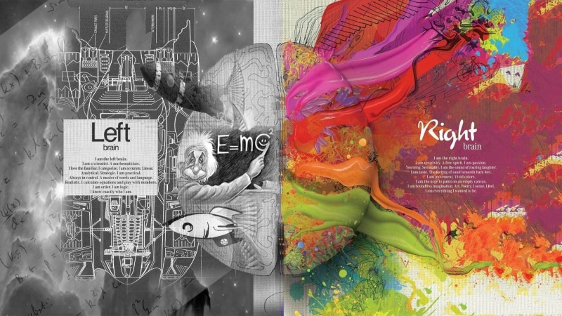 brain, splitting, diagrams, selective coloring, painting, knowledge, 1080P