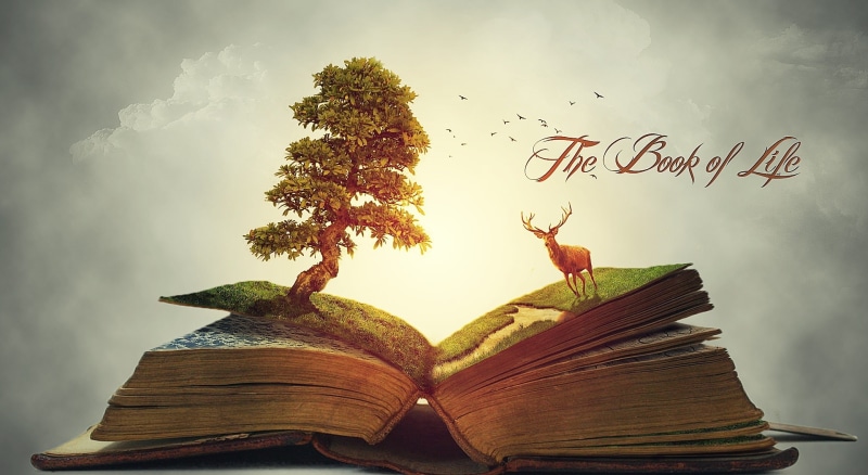 representation, flying, publication, sky, creativity, digital composite, bird, animal, animal wildlife, 1080P, books, tree, plant, no people, cloud - sky