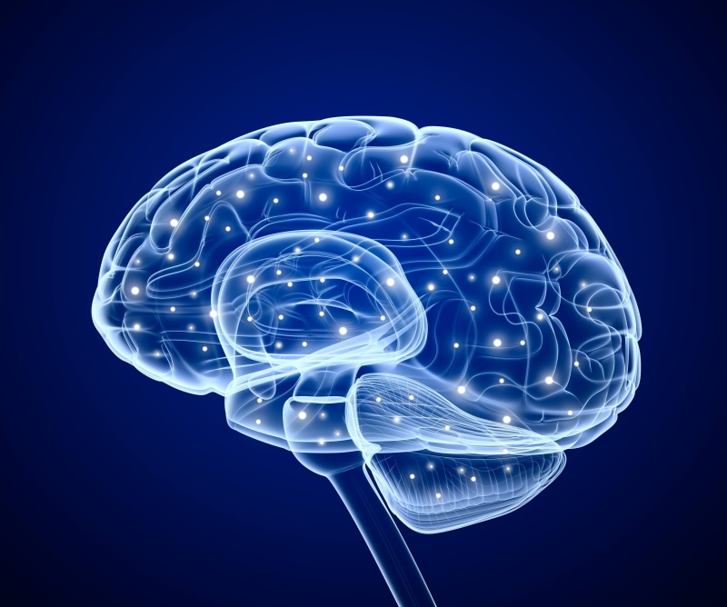 brain, 4K, d, blue, abstract, creativity, healthcare and medicine, colored background, minimalism, three dimensional, technology, glowing, data, no people