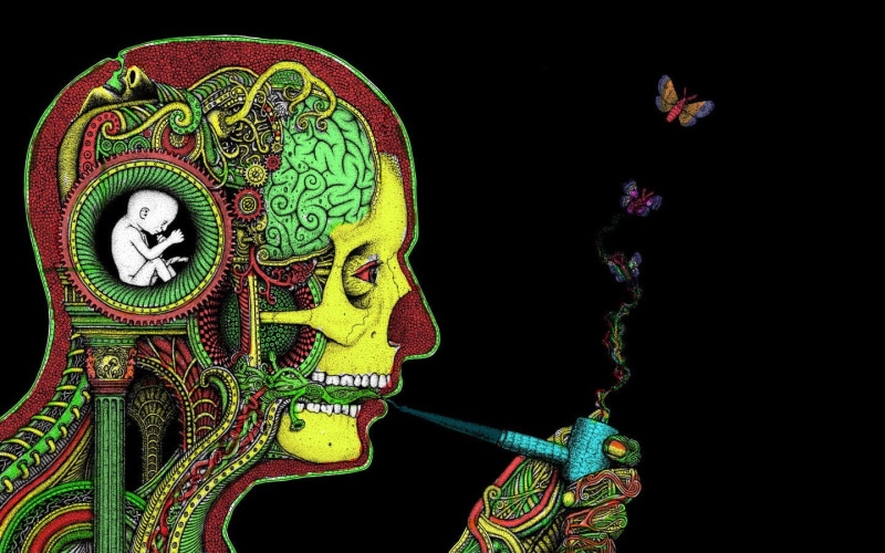 psychedelic, surreal, butterfly, drugs, H. R. Giger, Rastafari, smoking, brain, 720P, face, artwork, skull, pipes