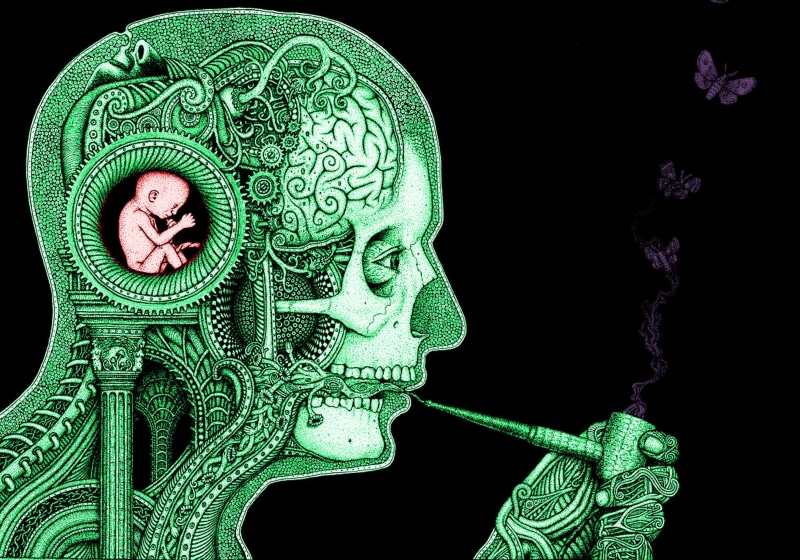 skull, science, baby, brain, clockwork, 2K, smoking, butterfly, gears, artwork