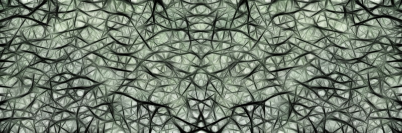 sling, mesh factory, animal wildlife, close-up, pattern, sea life, loop, magnification, sea, entanglement, black, network, water, 5K, brain cells