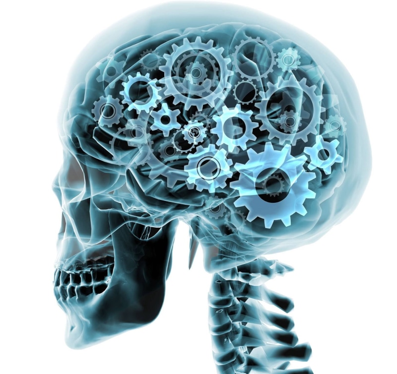 anatomy, x-ray, 3-d, medical, digital, head, psychedelic, skull, gear, 720P, gears, xray, brain