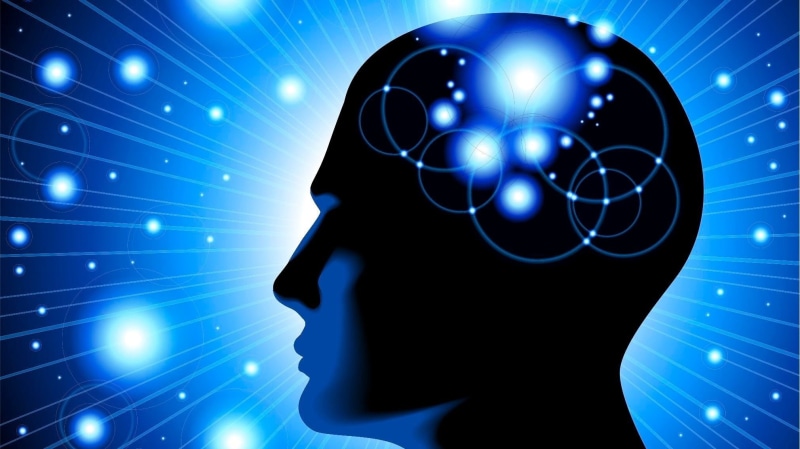 digital composite, computer network, computer, blue, d, wireless technology, digital, x, internet, head, one person, shiny, skull, technology, human body part