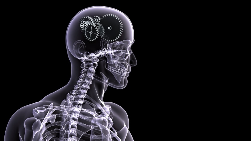 body part, men, human Spine, system, gear, three-dimensional Shape, research, healthcare And Medicine, human Nervous System, studio shot, black background