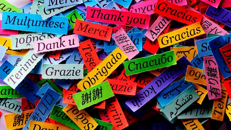pieces of paper, 1080P, paper, thank you, quotes