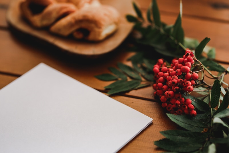 rowan, preparation, pen, plant, beauty in nature, healthy eating, coffee, sheet of paper, page, paper, food, food and drink, freshness, nature, blank, no People