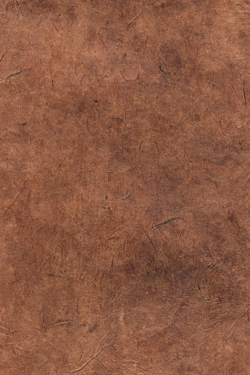 leaves, textured, copy space, 5K, handmade, rau, wood, brown, close-up, extreme close-up, structure, wood grain, rough, wood - material, backgrounds, papyrus