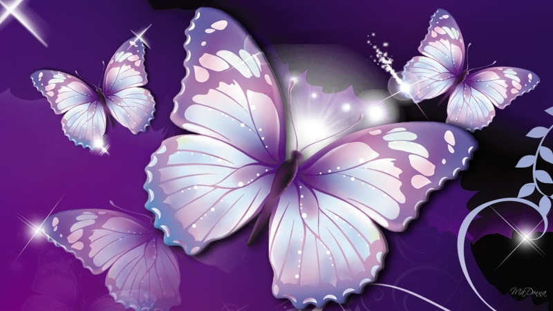 white, purple, butterflies, 3d and abstract, 1080P
