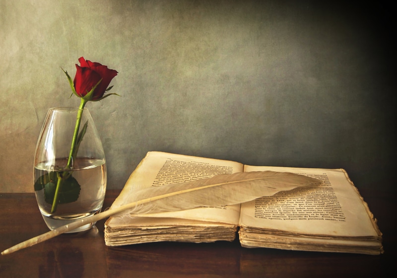 education, book, still Life, antique, love, plant, flower, glass, bouquet, literature, white, decoration, clear, open, rose, paper, copy Space, feather