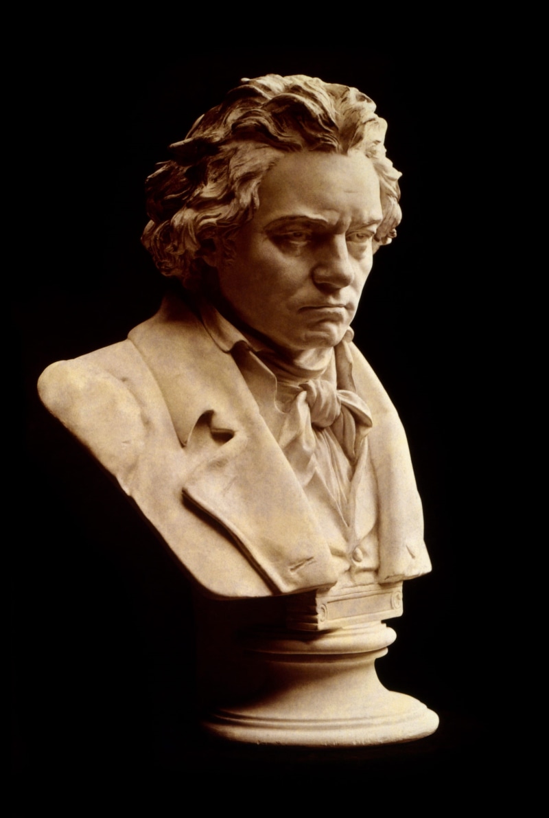 classic, music, arts culture and entertainment, black And White, human representation, concepts And Ideas, people, bust, hugo hagen, head, composer, german