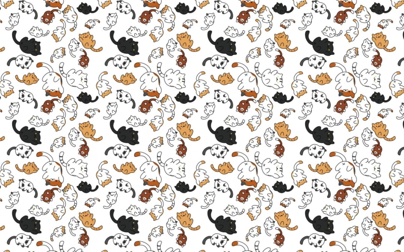 720P, paper, pattern, cat, pisica, Texture