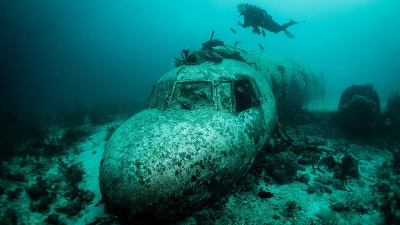 coral reef, diving, unrecognizable person, adventure, deterioration, marine, exploration, water, sea life, 1080P, crash, organism, swimming, sport, ruined