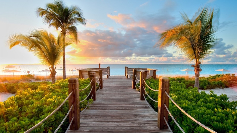 tranquility, sky, beauty in nature, beach, horizon, tropical tree, no people, tranquil scene, coconut palm tree, view, direction, tropical climate, horizon over water