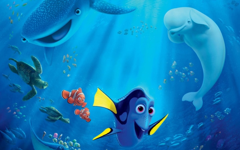 underwater, movies, animal wildlife, vertebrate, large group of animals, animal, nature, water, Disney Pixar, small, blue, marine, tropical fish, animal themes