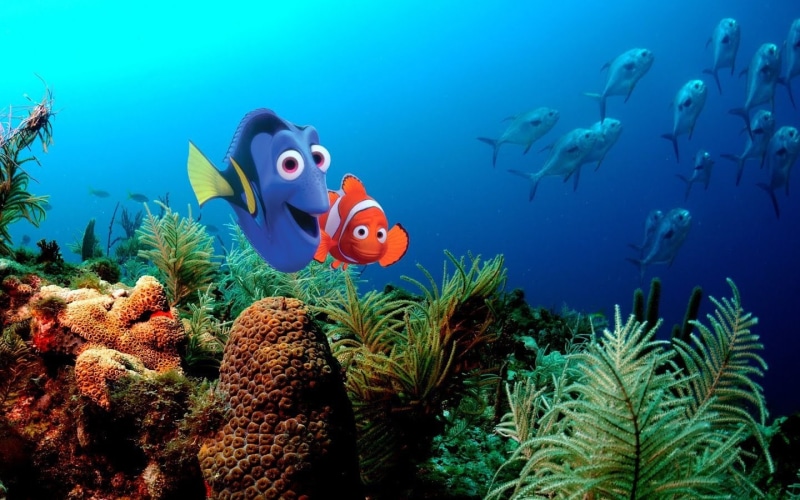 pixar, animation, tropical, fish, disney, underwater, company, ocean, drama, adventure, comedy, family, finding, sea, 720P, nemo