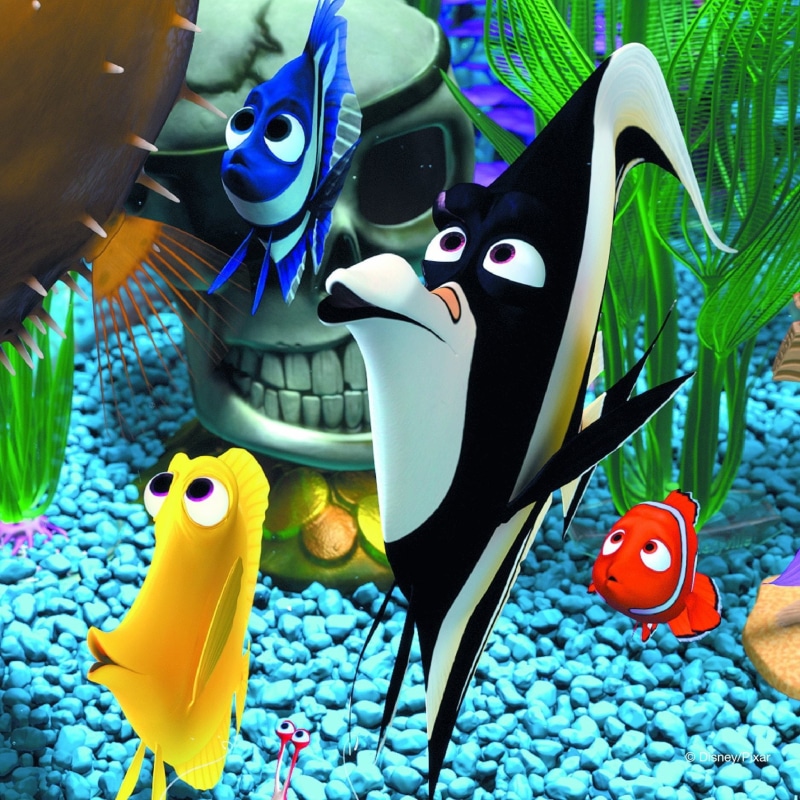 fish, sea, disney, underwater, drama, tropical, animation, adventure, comedy, finding, nemo, 720P, family, ocean