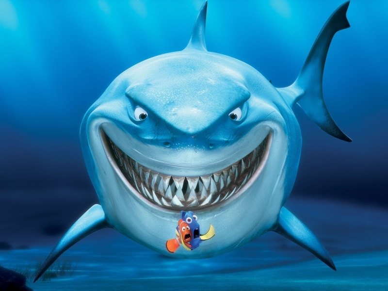 sharks, adventure, animation, comedy, sea, 720P, underwater, finding, drama, ocean, disney, fish, nemo, family, tropical
