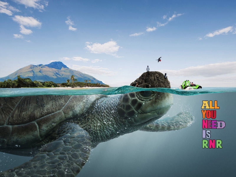 split view, marine, animals in the wild, cloud - sky, outdoors, beauty in nature, photo manipulation, digital composite, day, 720P, one person, scenics - nature