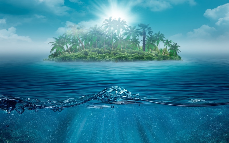 tree, split view, landscape, split, illustration, 1080P, sea, island, palm, palm tree, green, water, view
