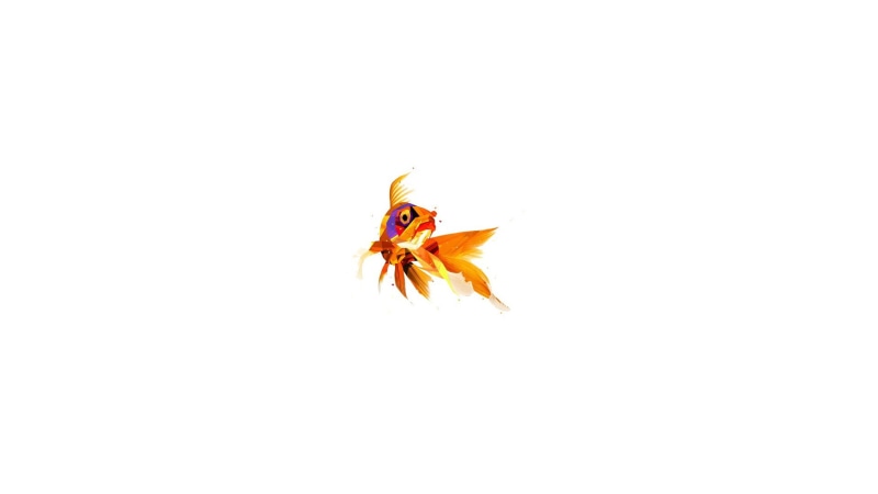 red, indoors, digital art, orange, animal, full length, orange color, 1080P, animal themes, goldfish, no people, one animal, invertebrate, fish, illustration