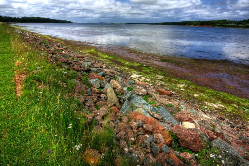 prince  edward  island, water, grass, colours, nature, high  dynamic  range, body, Coastal, tourism, PEI, canada, colors, blue sky, sky, picture, photograph