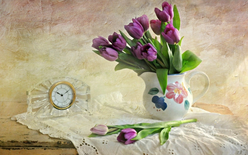 photography, still, hd, life, 1080P
