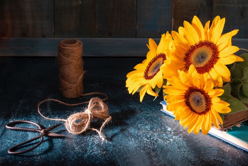 bunch of flowers, freshness, fragility, flowers, plants, creativity, close-up, still life, nature, beauty in nature, 4K, flower head, sunflowers, sunflower