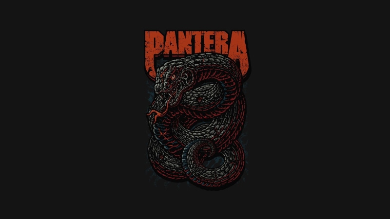 Pantera, Heavy Metal, 1080P, snake, music, Thrash Metal