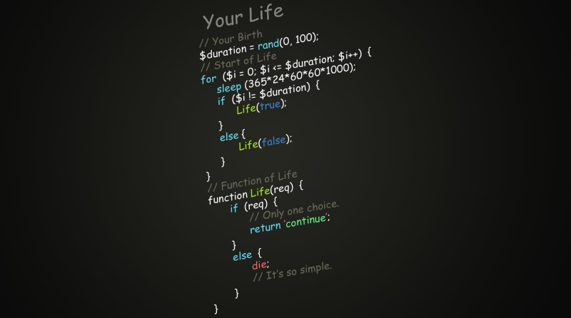 programming, script, function of life, 1080P