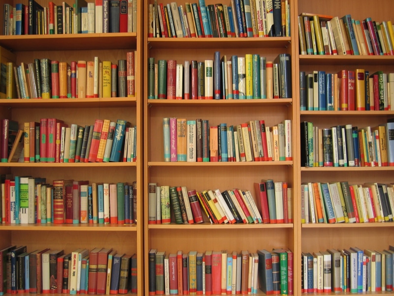 publication, variation, abundance, shelf, assorted, read, backgrounds, learning, library, education, 2K, books, bookcase, choice, multi colored, book