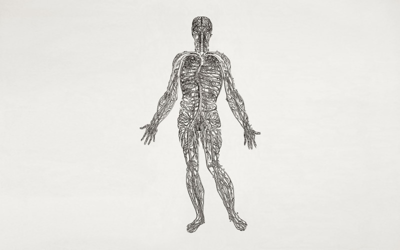 day, no people, sketch, cut out, metal, studio shot, hanging, low angle view, art and craft, medicine, close-up, copy space, indoors, science, wall - building feature
