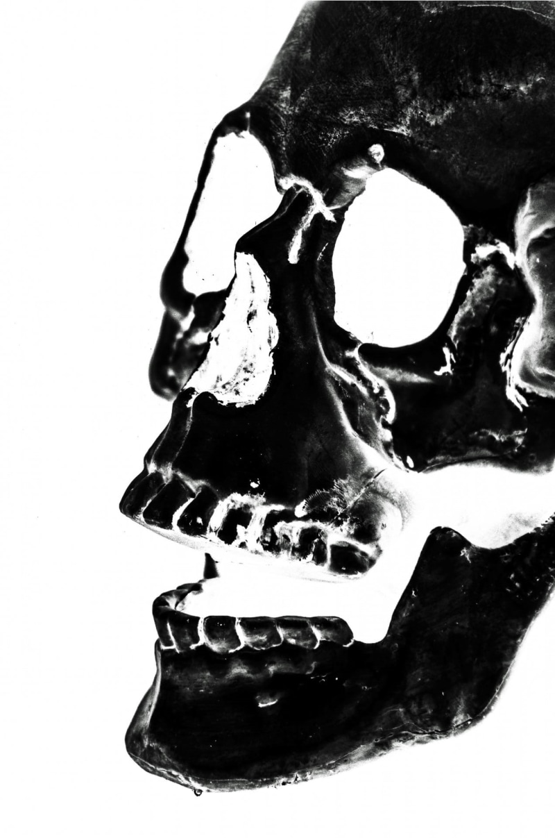 people, human skeleton, closeup, bone, photo, skeleton, no people, studio shot, dramatic, anatomy, art and craft, white background, human body part, mask