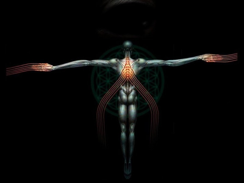 logo, tool, anatomy, 480P, hd, human, music