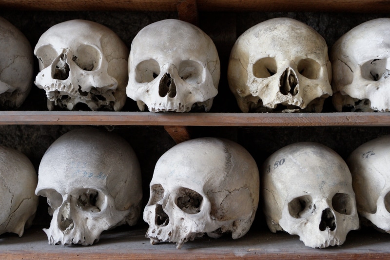 spooky, human skeleton, body part, ossuary, bone, 2K, still life, decors, human face, human bone, fear, frame, wooden, skull, horror, the past, white