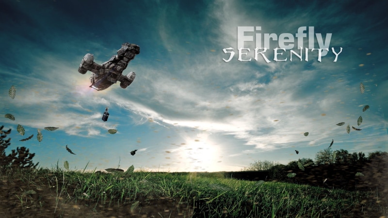 sign, bird, nature, freedom, 1080P, people, full length, outdoors, motion, Serenity, sky, grass, mid-air, communication, jumping, science fiction