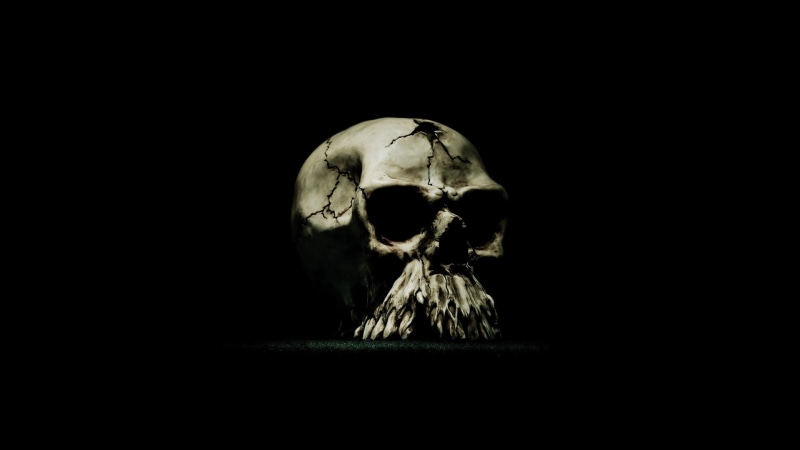 close-up, 1080P, fear, anatomy, human bone, bone, human body part, horror, body part, skull, the past, minimalism, black background, history, indoors