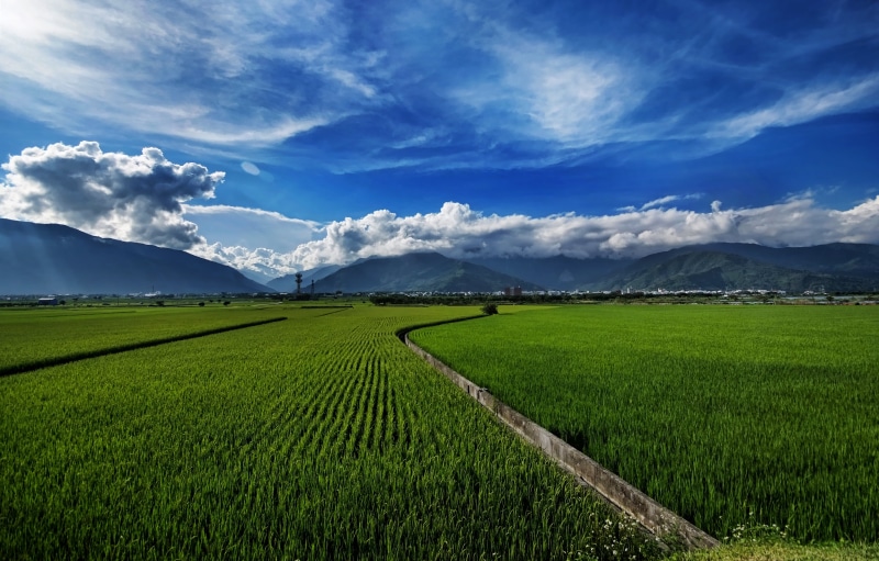 outdoors, meadow, agriculture, Memories, mountain, rural Scene, ©all, rice Paddy, near, field, green farm, scenics, 4K, Feast, tourism, remote, green