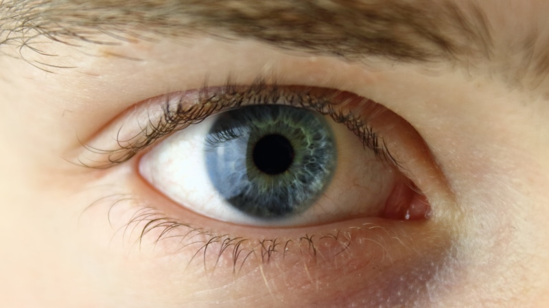 contemplation, body part, human face, eye, green, teenager, eyes face, close, blue, looking at camera, blue eyes, human, people, shadow, photography, eyebrow